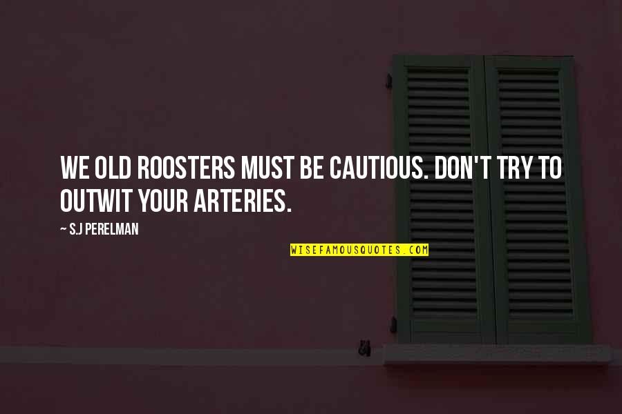 S J Perelman Quotes By S.J Perelman: We old roosters must be cautious. Don't try