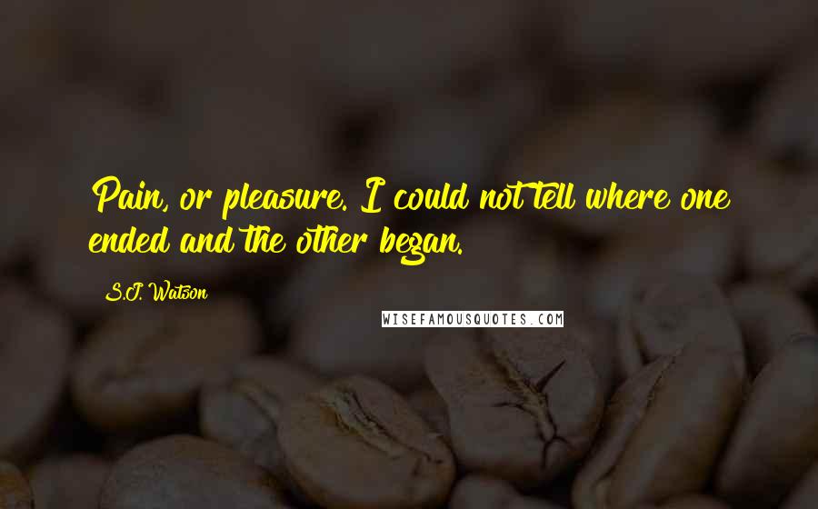 S.J. Watson quotes: Pain, or pleasure. I could not tell where one ended and the other began.