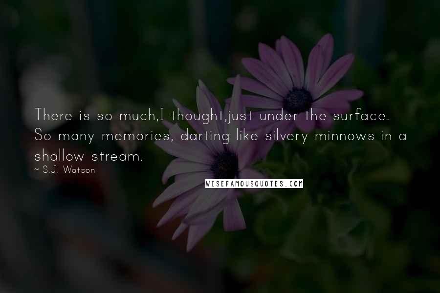 S.J. Watson quotes: There is so much,I thought,just under the surface. So many memories, darting like silvery minnows in a shallow stream. S.J. Watson quotes: There is so much,I thought,just under the surface. So many memories, darting like silvery minnows in a shallow stream.