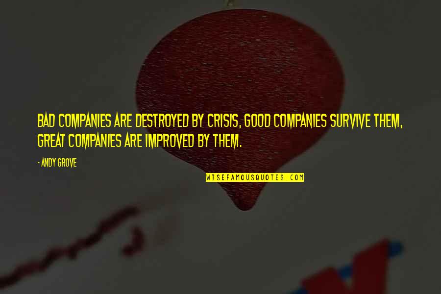 S L Crisis Quotes By Andy Grove: Bad companies are destroyed by crisis, Good companies S L Crisis Quotes By Andy Grove: Bad companies are destroyed by crisis, Good companies