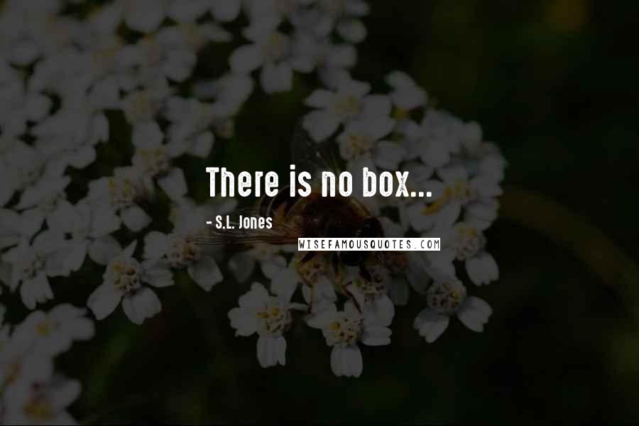 S.L. Jones quotes: There is no box...