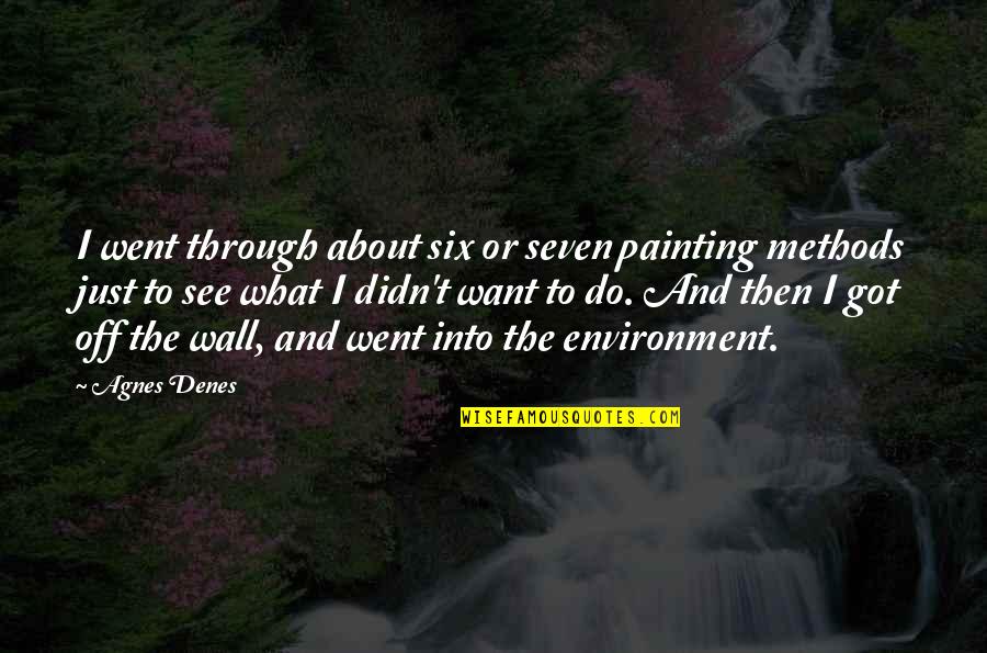 S Pulture Quotes By Agnes Denes: I went through about six or seven painting S Pulture Quotes By Agnes Denes: I went through about six or seven painting