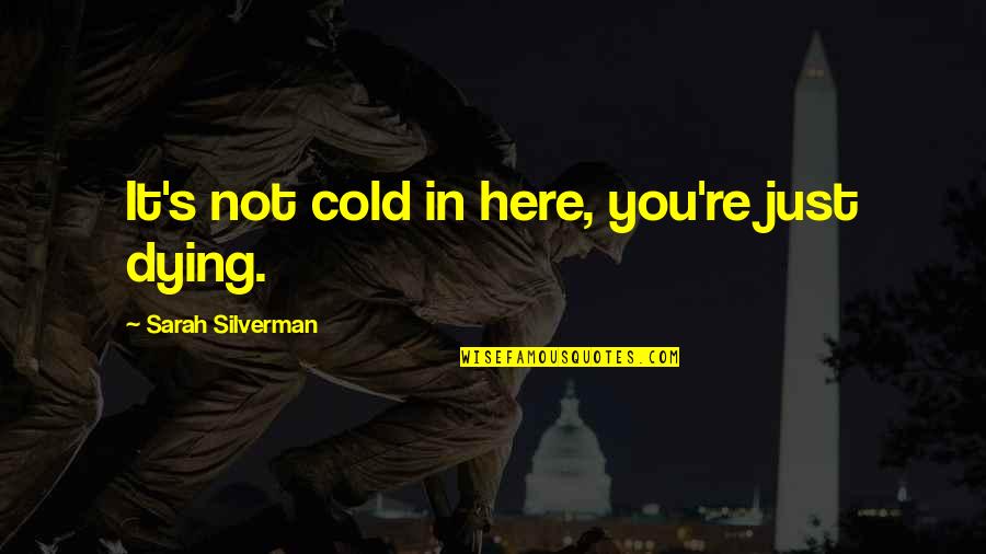 S Silverman Quotes By Sarah Silverman: It's not cold in here, you're just dying.