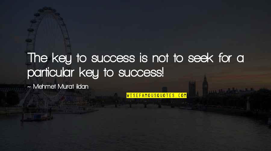 S.y. Agnon Quotes By Mehmet Murat Ildan: The key to success is not to seek