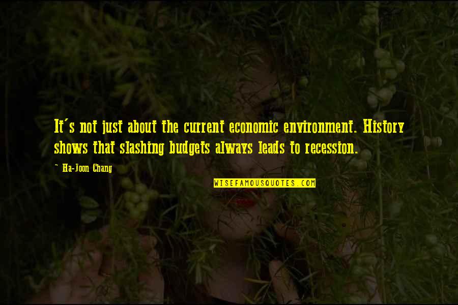 Sa Mga Paasa Quotes By Ha-Joon Chang: It's not just about the current economic environment.