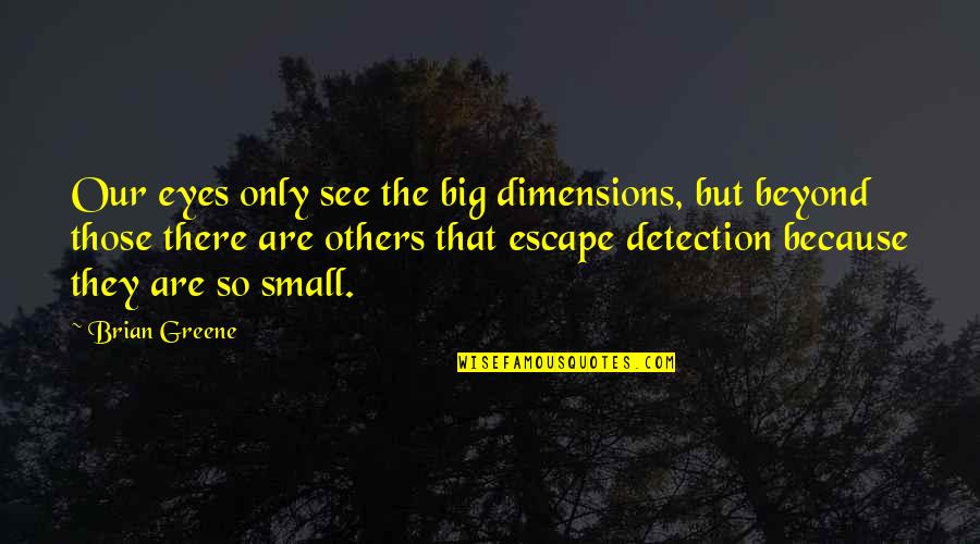 Sa Nasasaktan Quotes By Brian Greene: Our eyes only see the big dimensions, but