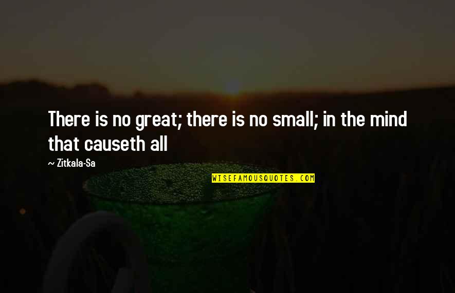 Sa-roc Quotes By Zitkala-Sa: There is no great; there is no small;