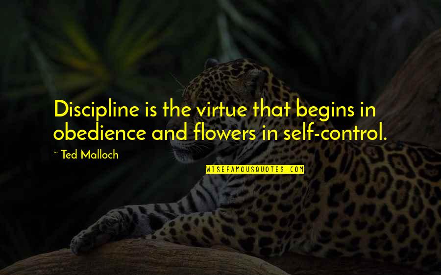 Saadani Quotes By Ted Malloch: Discipline is the virtue that begins in obedience