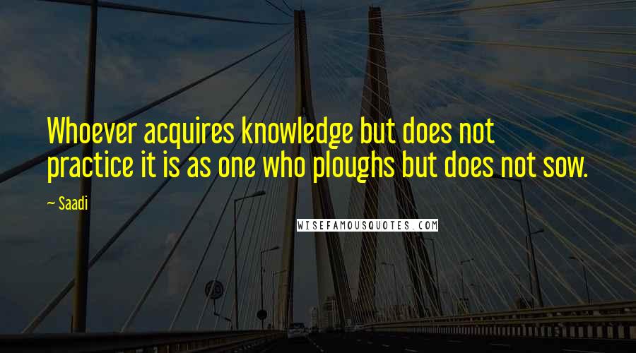 Saadi quotes: Whoever acquires knowledge but does not practice it is as one who ploughs but does not sow.