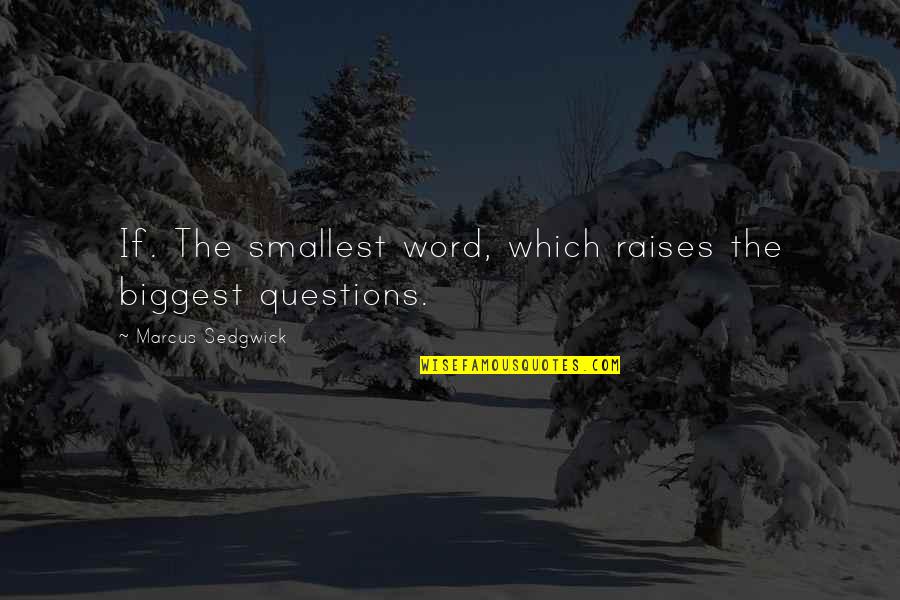 Saan Ako Lulugar Quotes By Marcus Sedgwick: If. The smallest word, which raises the biggest