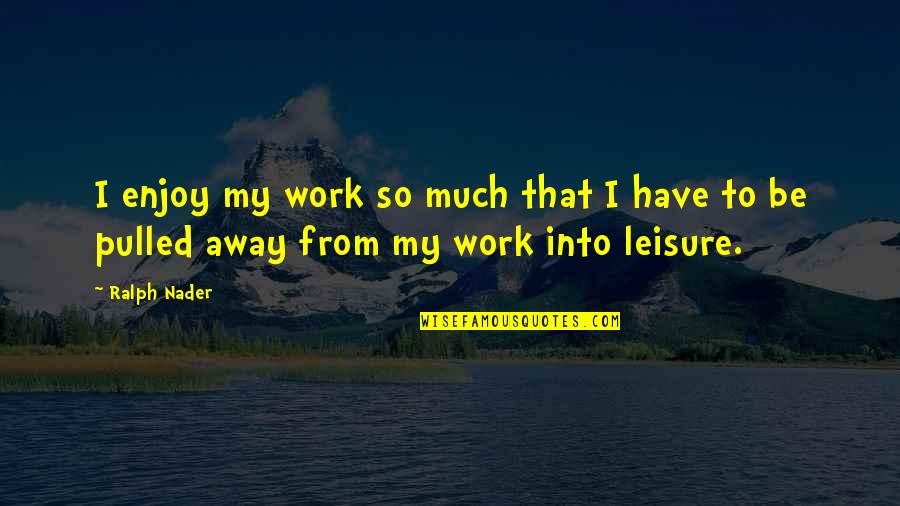 Saaransh Movie Quotes By Ralph Nader: I enjoy my work so much that I