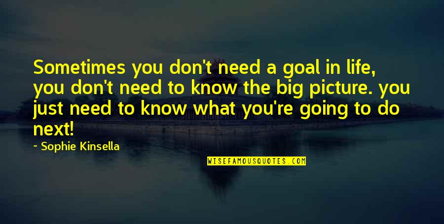 Saban 60 Minutes Quotes By Sophie Kinsella: Sometimes you don't need a goal in life, Saban 60 Minutes Quotes By Sophie Kinsella: Sometimes you don't need a goal in life,
