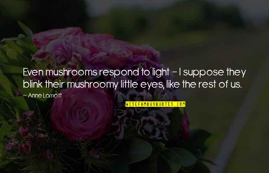 Sabater Spices Quotes By Anne Lamott: Even mushrooms respond to light - I suppose Sabater Spices Quotes By Anne Lamott: Even mushrooms respond to light - I suppose