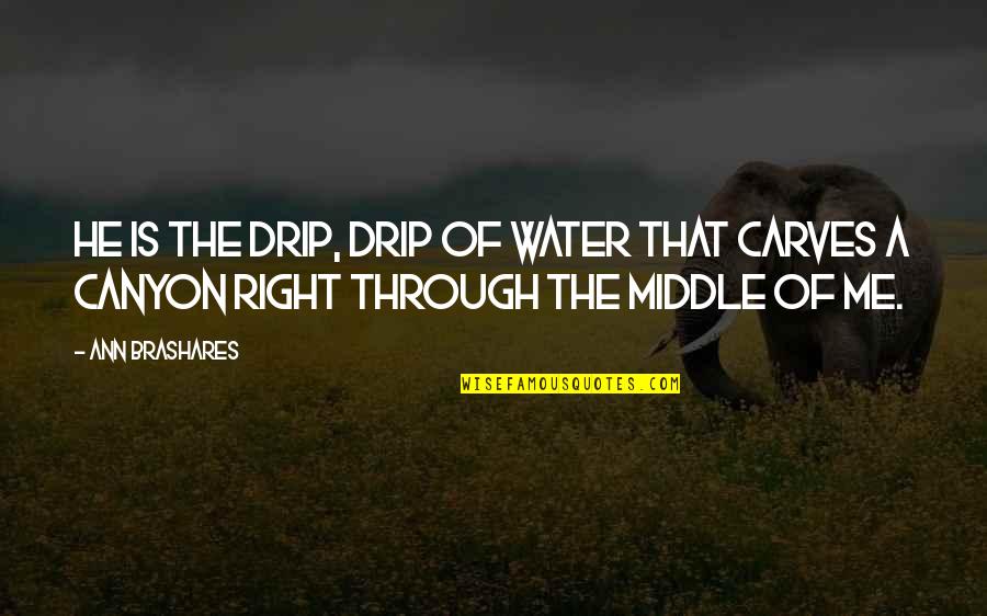 Sabedor Healer Quotes By Ann Brashares: He is the drip, drip of water that
