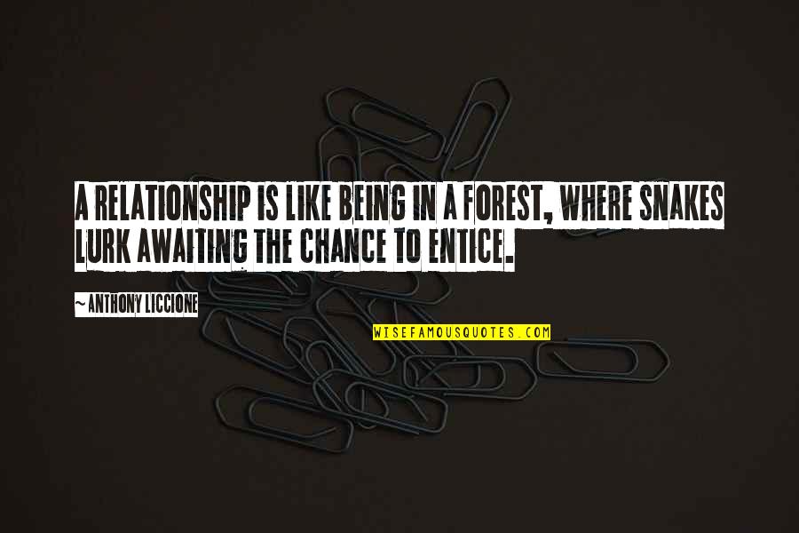 Sabered Quotes By Anthony Liccione: A relationship is like being in a forest,