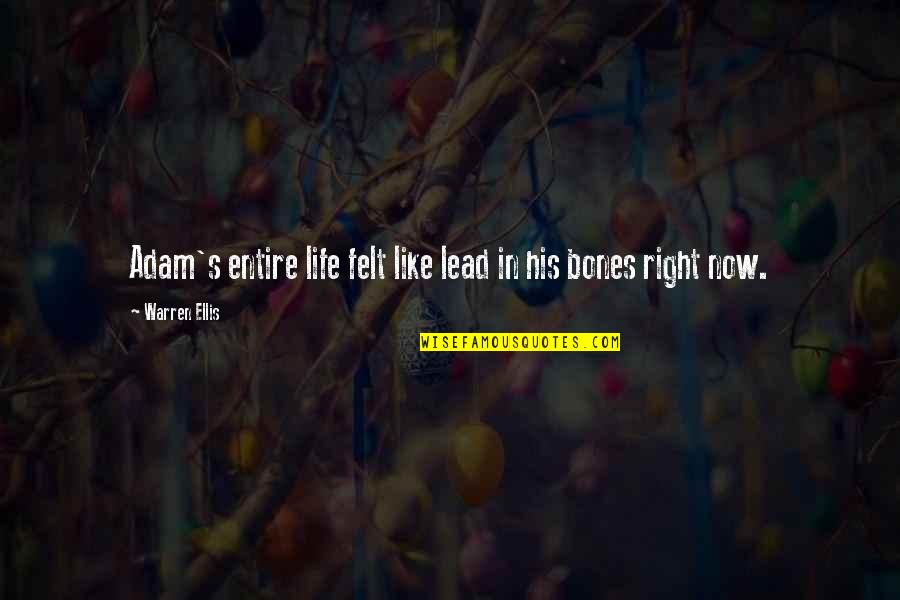 Saberinia Massoud Quotes By Warren Ellis: Adam's entire life felt like lead in his Saberinia Massoud Quotes By Warren Ellis: Adam's entire life felt like lead in his