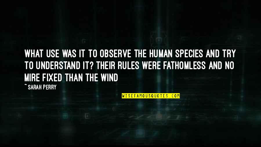 Sabermetric Quotes By Sarah Perry: what use was it to observe the human