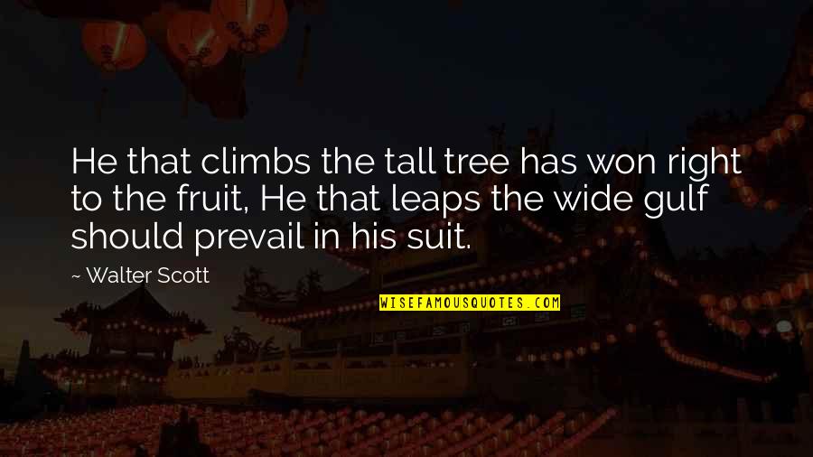 Sabes Que Te Quiero Quotes By Walter Scott: He that climbs the tall tree has won