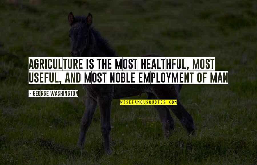 Sabji Recipe Quotes By George Washington: Agriculture is the most healthful, most useful, and Sabji Recipe Quotes By George Washington: Agriculture is the most healthful, most useful, and