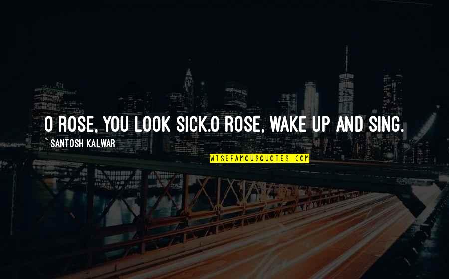 Sabrina Ward Harrison Quotes By Santosh Kalwar: O rose, you look sick.O rose, wake up