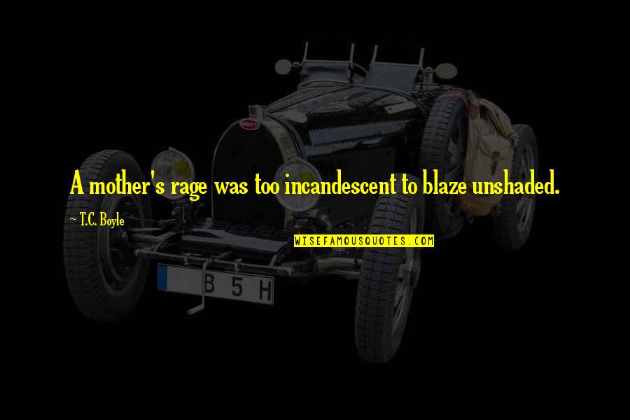Sabroe Denmark Quotes By T.C. Boyle: A mother's rage was too incandescent to blaze