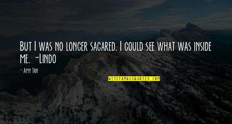 Sacared Quotes By Amy Tan: But I was no longer sacared. I could