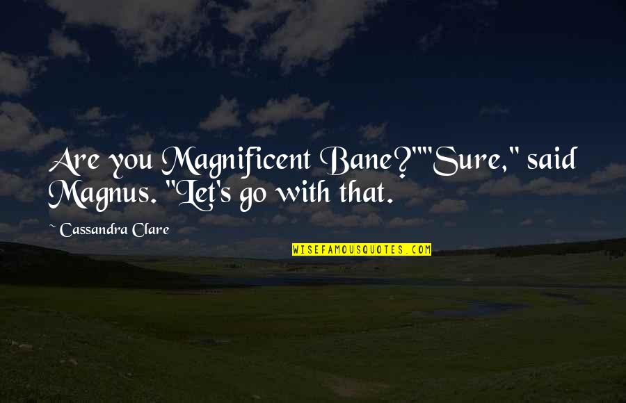Sachin Bansal And Binny Bansal Quotes By Cassandra Clare: Are you Magnificent Bane?""Sure," said Magnus. "Let's go