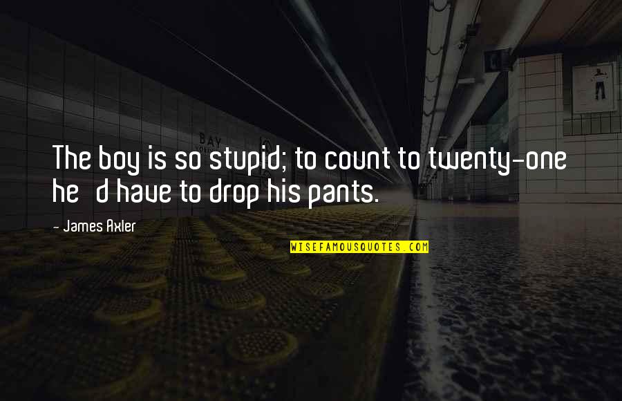 Sachin Garg Quotes By James Axler: The boy is so stupid; to count to