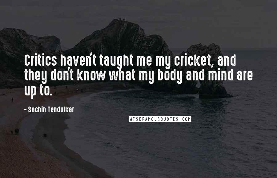 Sachin Tendulkar quotes: Critics haven't taught me my cricket, and they don't know what my body and mind are up to.