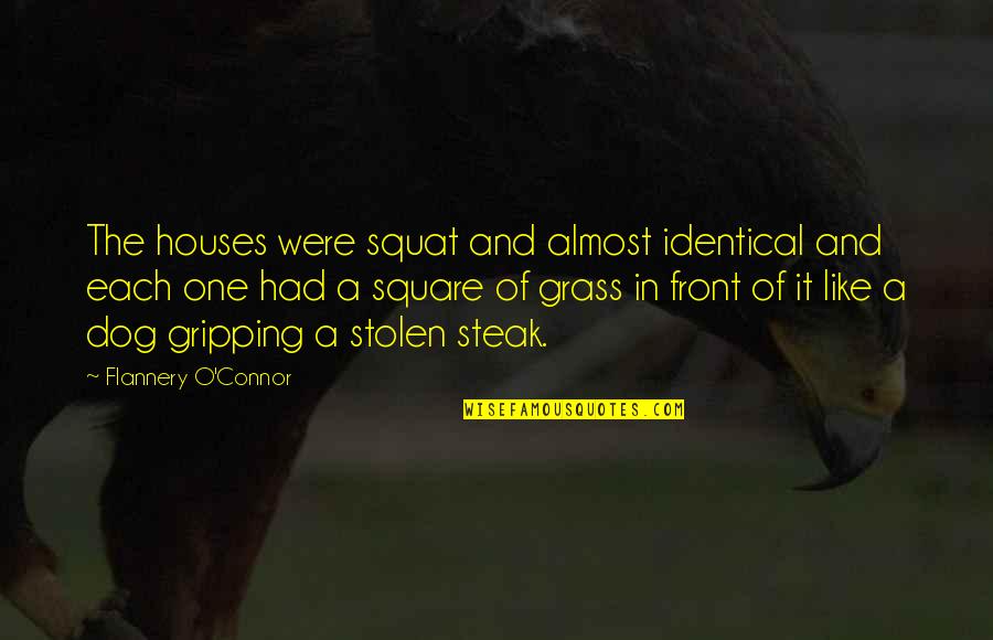 Sachin Tendulkar Retirement By Fans Quotes By Flannery O'Connor: The houses were squat and almost identical and Sachin Tendulkar Retirement By Fans Quotes By Flannery O'Connor: The houses were squat and almost identical and