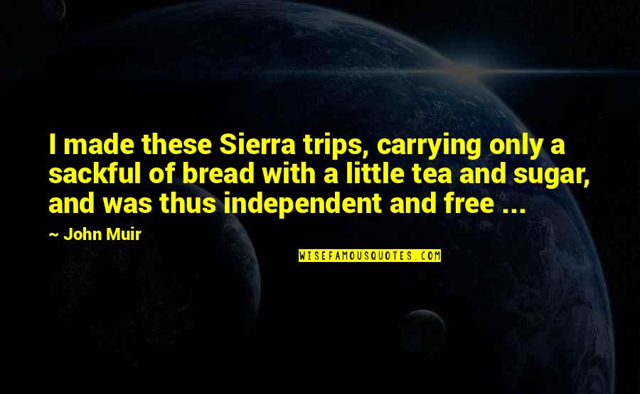 Sackful Quotes By John Muir: I made these Sierra trips, carrying only a Sackful Quotes By John Muir: I made these Sierra trips, carrying only a