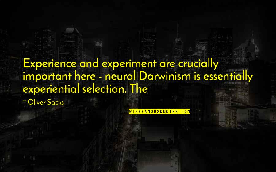 Sacks's Quotes By Oliver Sacks: Experience and experiment are crucially important here -