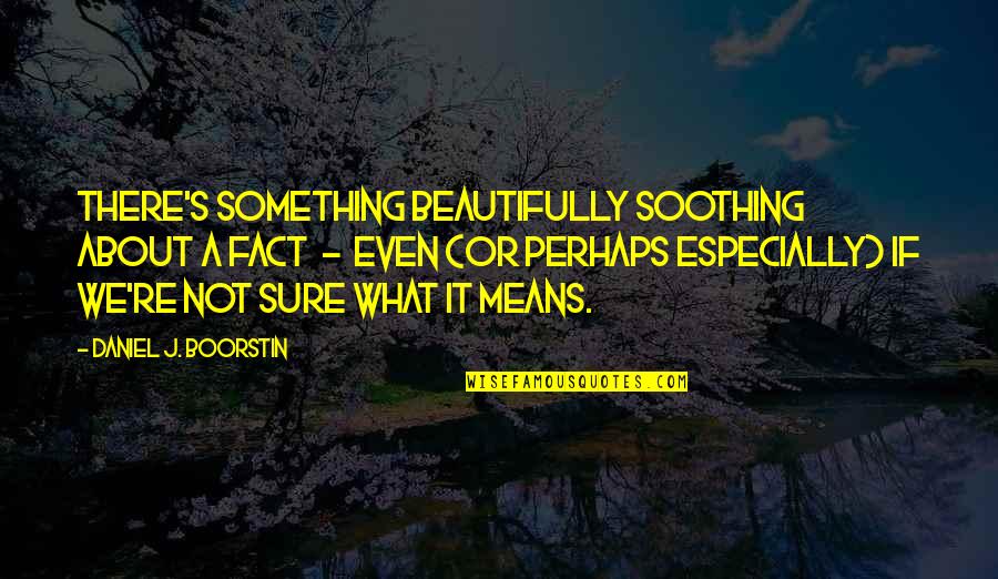 Sacramentarians Quotes By Daniel J. Boorstin: There's something beautifully soothing about a fact -
