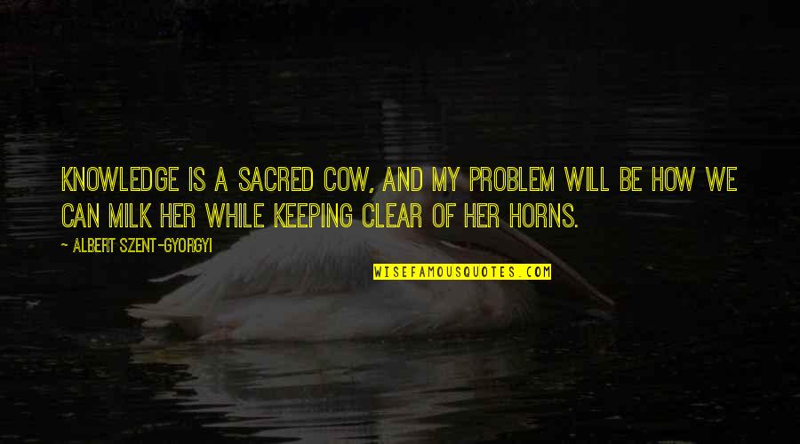 Sacred Cow Quotes By Albert Szent-Gyorgyi: Knowledge is a sacred cow, and my problem