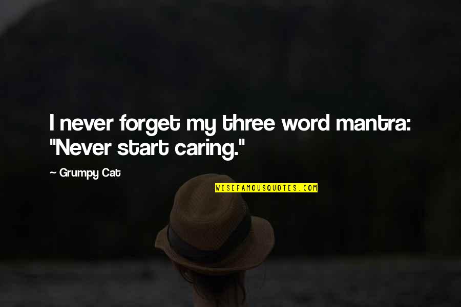 Sacred Journey Of The Peaceful Warrior Quotes By Grumpy Cat: I never forget my three word mantra: "Never