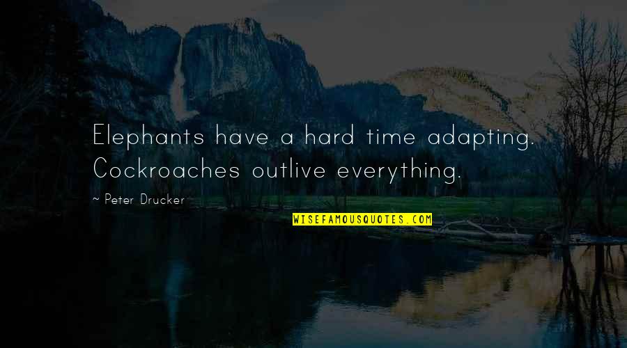 Sacrifice And Honor Quotes By Peter Drucker: Elephants have a hard time adapting. Cockroaches outlive