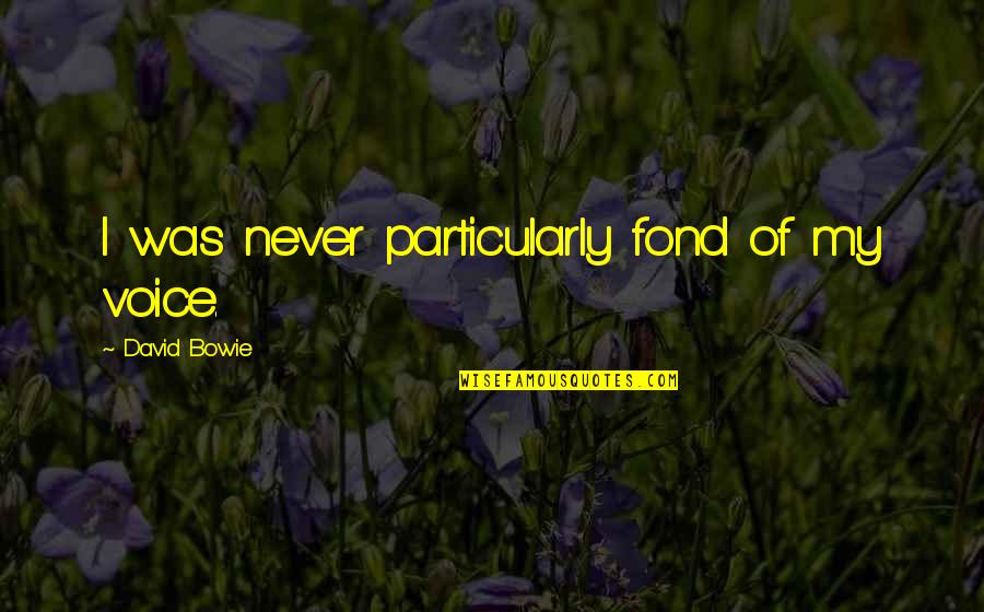 Sacrifice For The Sake Of Love Quotes By David Bowie: I was never particularly fond of my voice.