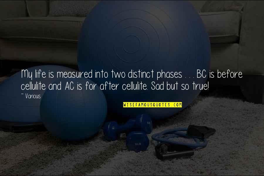 Sad And True Quotes By Various: My life is measured into two distinct phases Sad And True Quotes By Various: My life is measured into two distinct phases