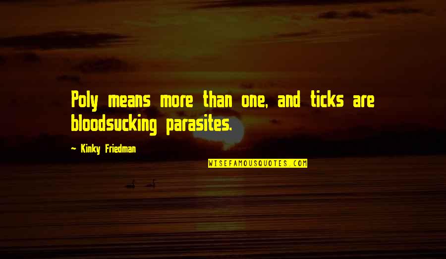 Sad Awkwardness Quotes By Kinky Friedman: Poly means more than one, and ticks are