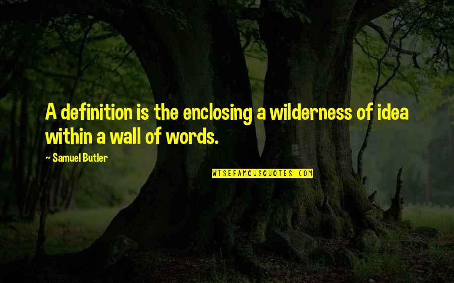 Sad Awkwardness Quotes By Samuel Butler: A definition is the enclosing a wilderness of