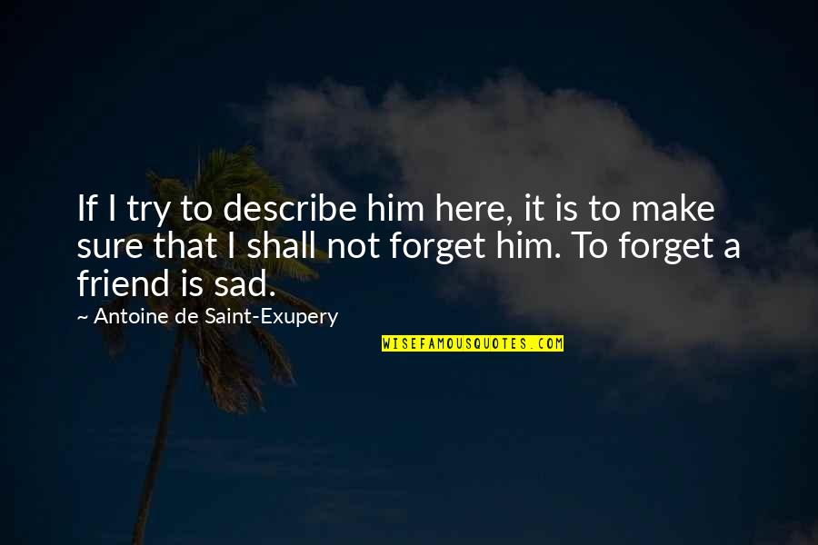 Sad Best Friend Quotes By Antoine De Saint-Exupery: If I try to describe him here, it