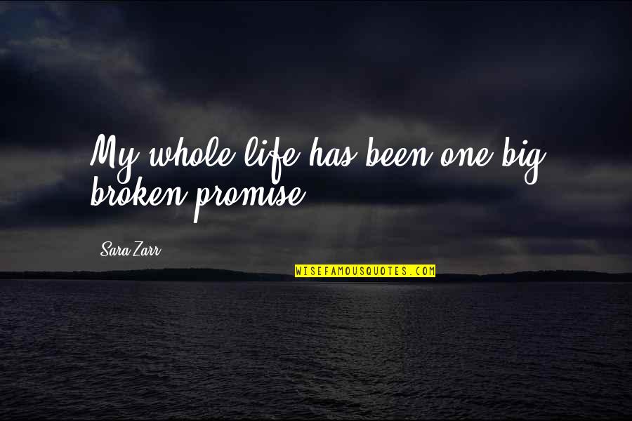 Sad Big Quotes By Sara Zarr: My whole life has been one big broken