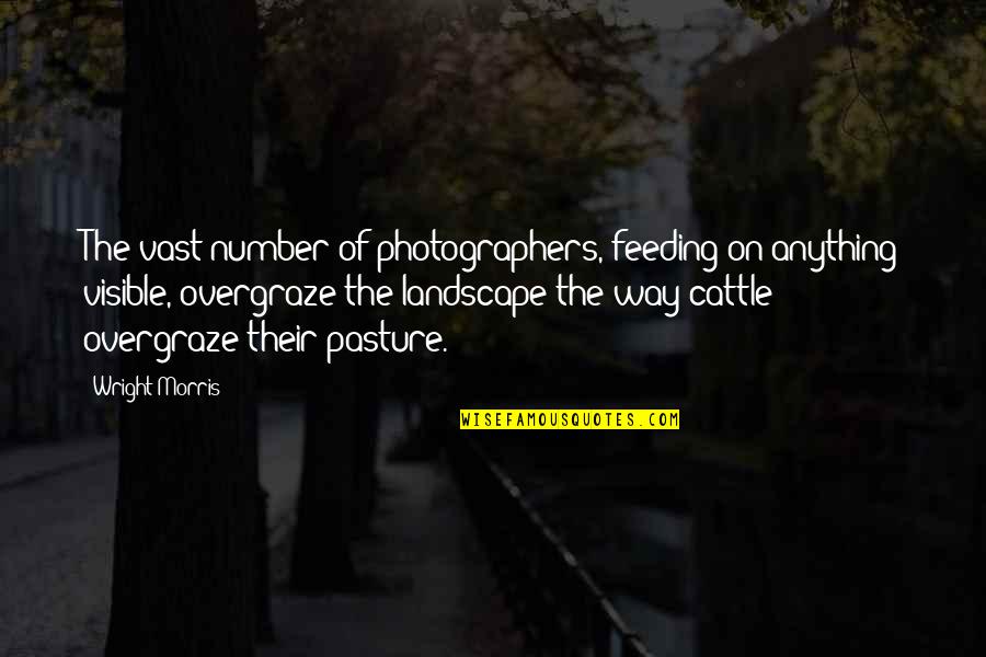 Sad But Clever Quotes By Wright Morris: The vast number of photographers, feeding on anything