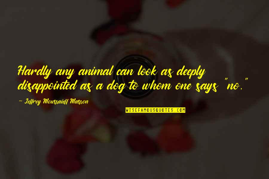 Sad But Hopeful Quotes By Jeffrey Moussaieff Masson: Hardly any animal can look as deeply disappointed