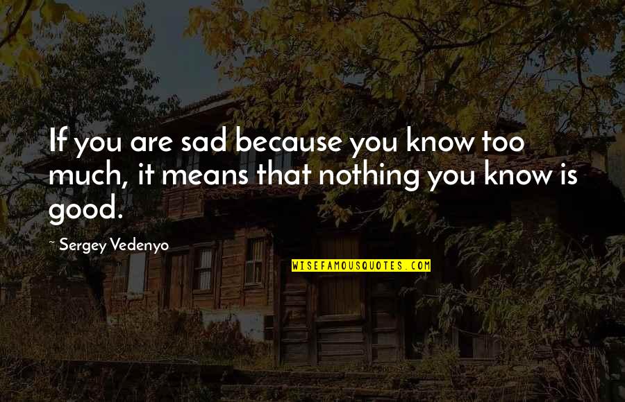 Sad But Inspirational Quotes By Sergey Vedenyo: If you are sad because you know too