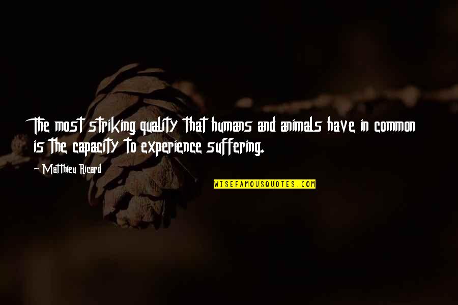 Sad But Need To Be Happy Quotes By Matthieu Ricard: The most striking quality that humans and animals Sad But Need To Be Happy Quotes By Matthieu Ricard: The most striking quality that humans and animals