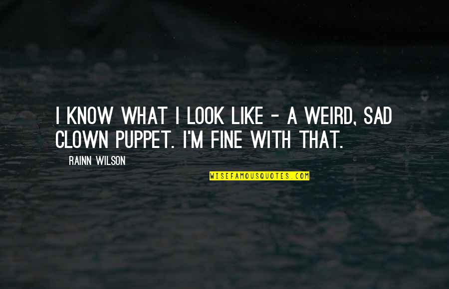 Sad Clown Quotes By Rainn Wilson: I know what I look like - a