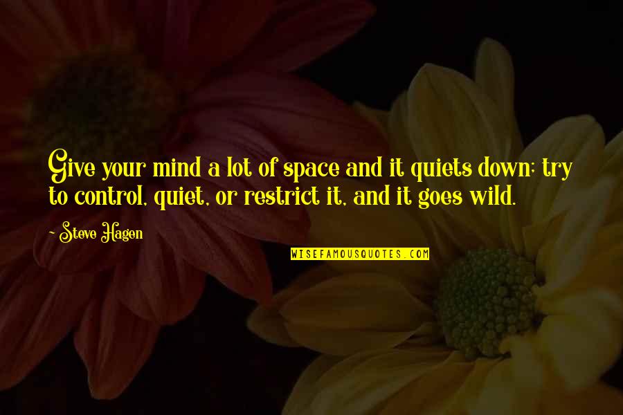 Sad Cory Monteith Quotes By Steve Hagen: Give your mind a lot of space and