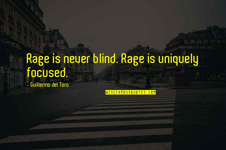 Sad Dark Humor Quotes By Guillermo Del Toro: Rage is never blind. Rage is uniquely focused.
