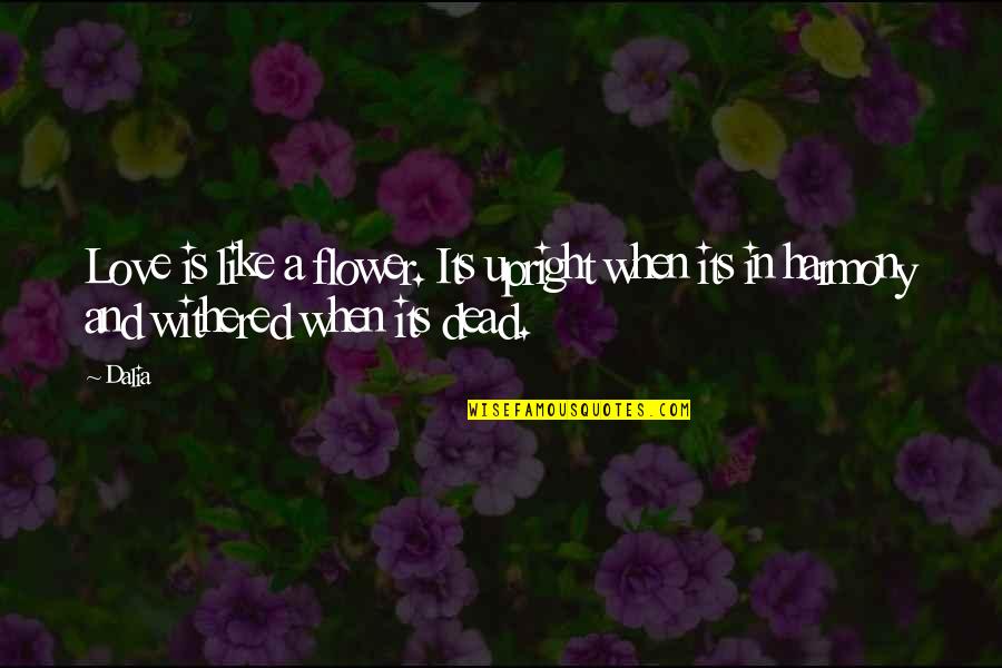 Sad Death Love Quotes By Dalia: Love is like a flower. Its upright when